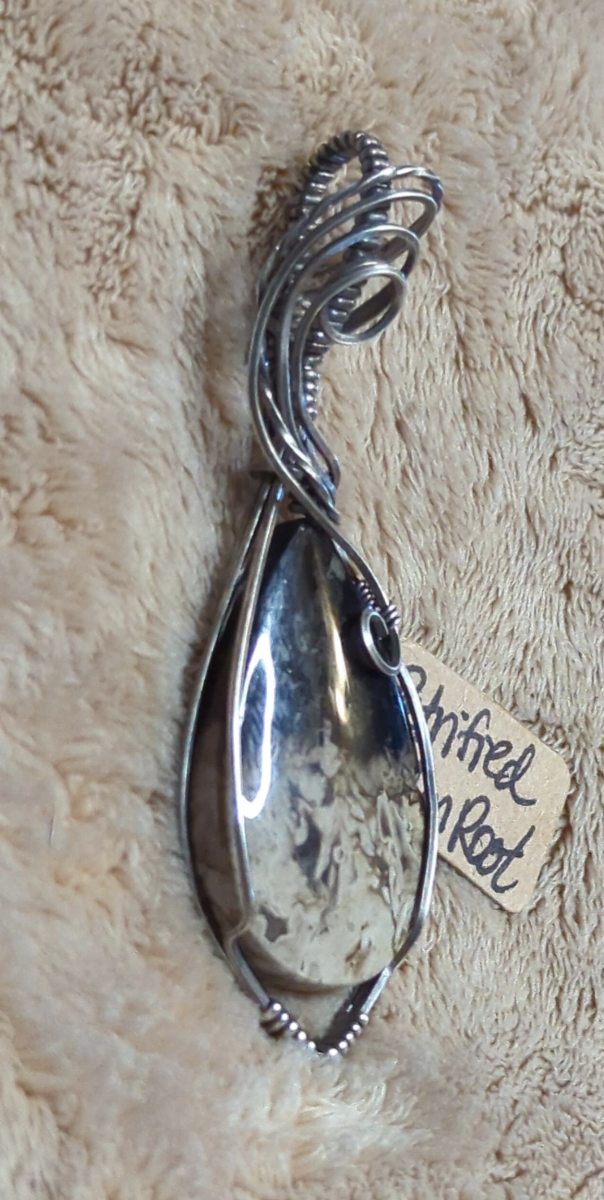 Petrified Palm root Pendant, set in antiqued Sterling silver.