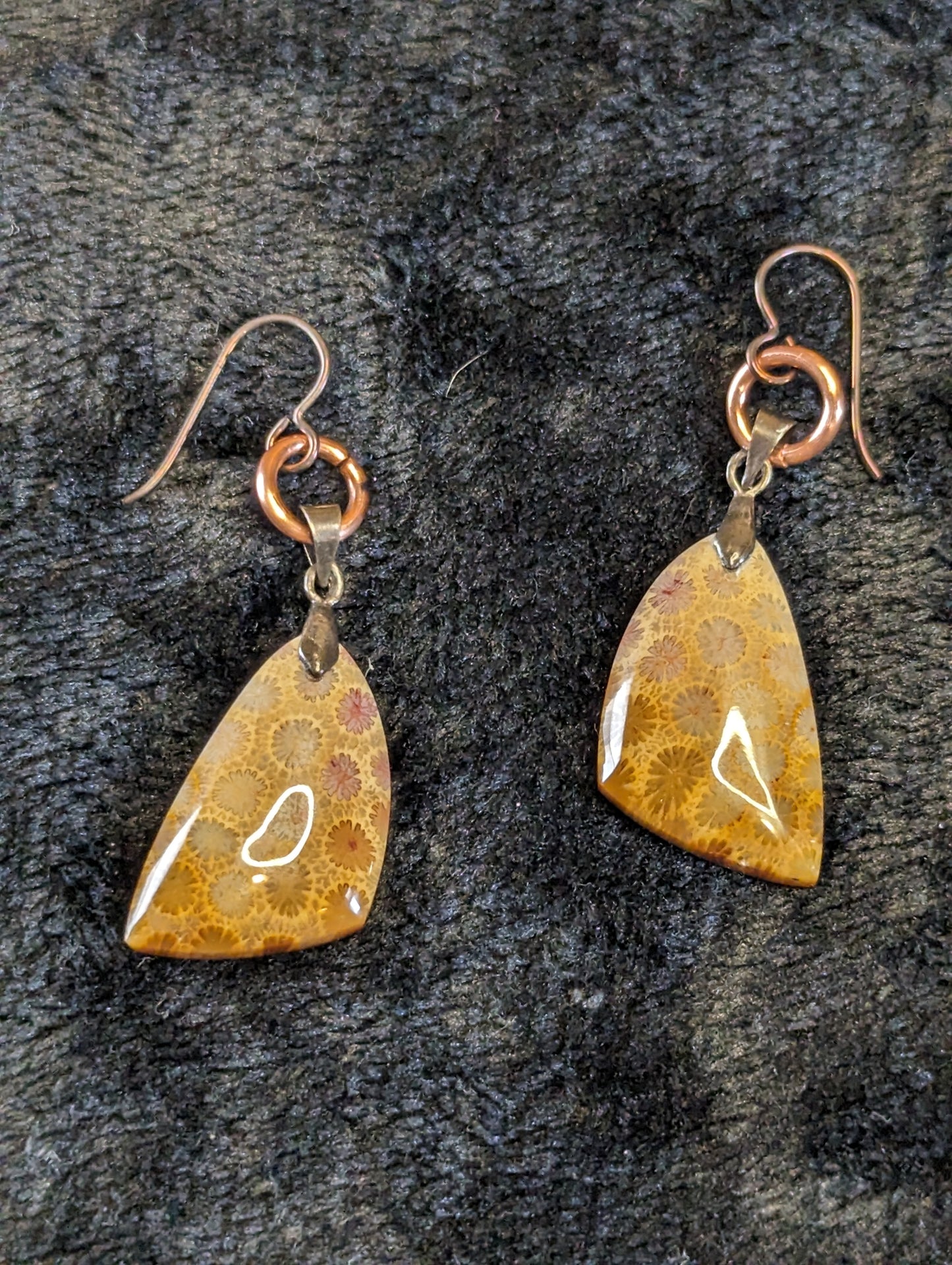 Coral Fossil Earrings